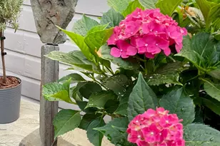 1046 Summit St, Columbus, OH 43201 - Photo 36