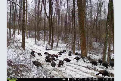 0 Dutch Ridge Road #(Woods Turkey Run Tract 3), New Lexington, OH 43764 - Photo 4