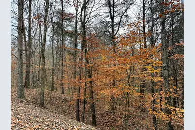 0 Dutch Ridge Road #(Woods Turkey Run Tract 3), New Lexington, OH 43764 - Photo 22