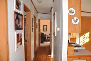 2620 Burnett Rd, Cutler, OH 45724 - Photo 16