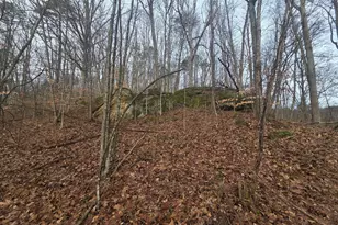 12001 W Buck Run Rd, Rockbridge, OH 43149 - Photo 1