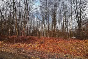 711 Crestrose Circle, Howard, OH 43028 - Photo 1