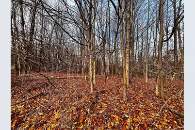 711 Crestrose Circle, Howard, OH 43028 - Photo 2