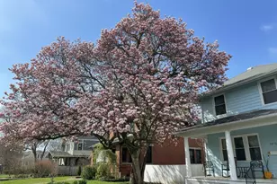 1875 W 1st Ave, Columbus, OH 43212 - Photo 2