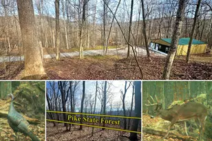 201 Pike Lake Rd Rd, Bainbridge, OH 45612 - Photo 1