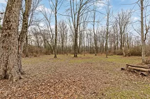 4134 Harlem Rd, Galena, OH 43021 - Photo 44