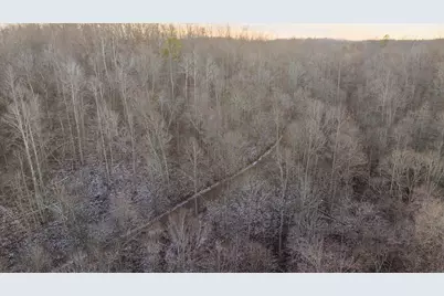 31201 Claypool Hollow Road, McArthur, OH 45651 - Photo 80