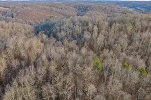 31201 Claypool Hollow Rd, McArthur, OH 45651 - Photo 82