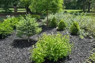 6875 Central College Rd, New Albany, OH 43054 - Photo 70