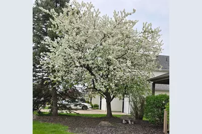 523 Long Street, Ashville, OH 43103 - Photo 38