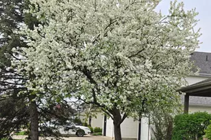 523 Long St, Ashville, OH 43103 - Photo 38