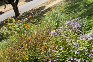 6497 Highlawn Dr, Columbus, OH 43229 - Photo 78