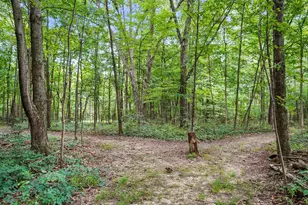 6701 Miller-Paul Rd, Westerville, OH 43082 - Photo 124