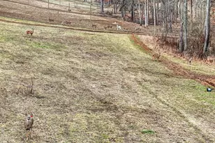 6529 Fallsburg Rd NE, Newark, OH 43055 - Photo 44