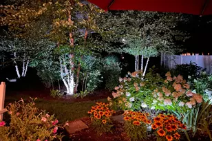 65 Haddam Pl W, Westerville, OH 43081 - Photo 50