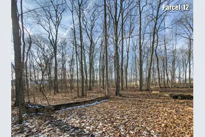 0 Hinton Mill Road, Marysville, OH 43040 - Photo 20