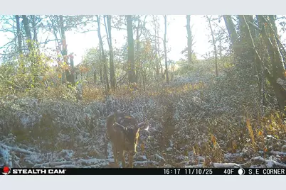 0 Hinton Mill Road, Marysville, OH 43040 - Photo 50