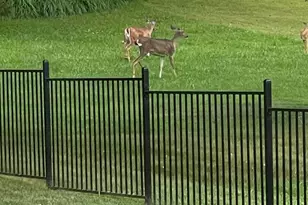 338 Scott Dr, Lancaster, OH 43130 - Photo 116