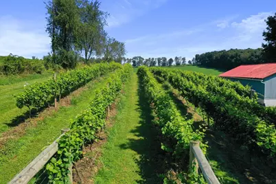 26367 Danville Amity Road, Danville, OH 43014 - Photo 14