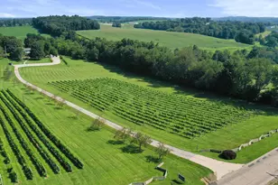 26367 Danville Amity Rd, Danville, OH 43014 - Photo 10