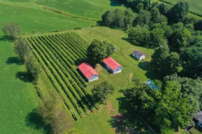 26367 Danville Amity Road, Danville, OH 43014 - Photo 8