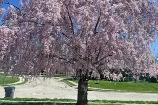 1545 Alar Ave, Reynoldsburg, OH 43068 - Photo 30