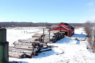 623 Flag Dale Rd S, Junction City, OH 43748 - Photo 16