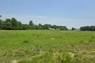 001 Reichelderfer St, Cardington, OH 43315 - Photo 6