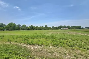 001 Reichelderfer St, Cardington, OH 43315 - Photo 8