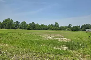 001 Reichelderfer St, Cardington, OH 43315 - Photo 10