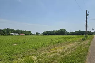 001 Reichelderfer St, Cardington, OH 43315 - Photo 4