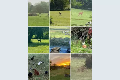 3432 London Lancaster Road, Groveport, OH 43125 - Photo 2