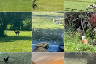 3432 London-Lancaster Rd, Groveport, OH 43125 - Photo 2