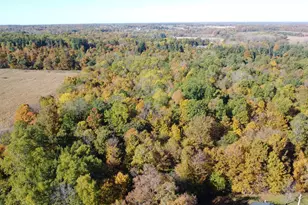 9526 State Route 314, Mansfield, OH 44904 - Photo 52