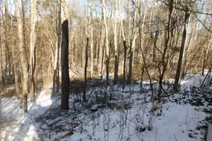 31044 Mays Rd, Logan, OH 43138 - Photo 30