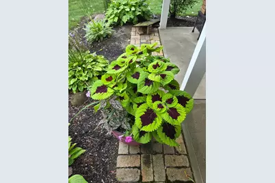 1689 State Route 314 N, Crestline, OH 44827 - Photo 76