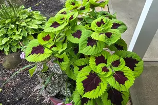 1689 State Route 314 N, Crestline, OH 44827 - Photo 76