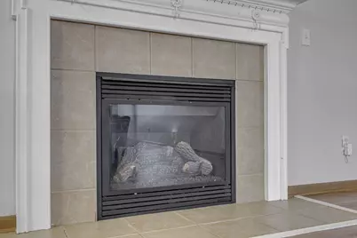 3832 Liriope Street, Canal Winchester, OH 43110 - Photo 8