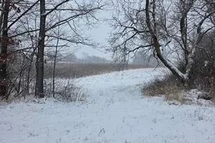 0 Riggle Rd, Bellville, OH 44813 - Photo 1