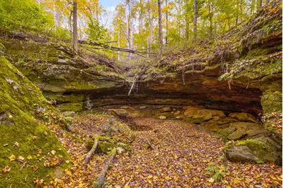 28132 Dupler, Rockbridge, OH 43149 - Photo 126