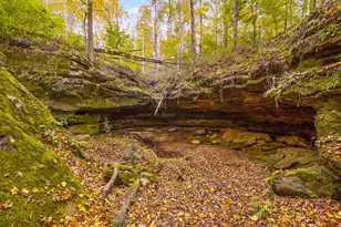 28132 Dupler, Rockbridge, OH 43149 - Photo 126