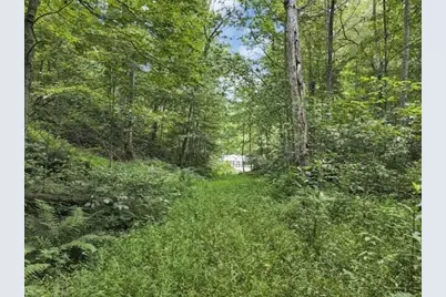 23584 Conrad Road, South Bloomingville, OH 43152 - Photo 6