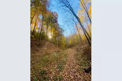 23584 Conrad Road, South Bloomingville, OH 43152 - Photo 10