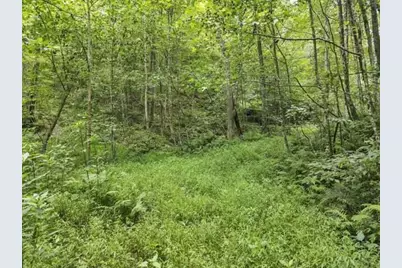 23584 Conrad Road, South Bloomingville, OH 43152 - Photo 6