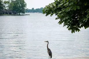 9895 Fairview Ave, Lakeview, OH 43331 - Photo 8