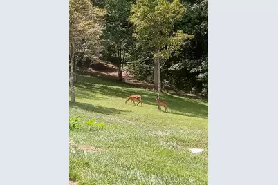 20731 State Route 664 S, South Bloomingville, OH 43152 - Photo 72