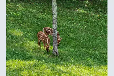 20731 State Route 664 S, South Bloomingville, OH 43152 - Photo 68