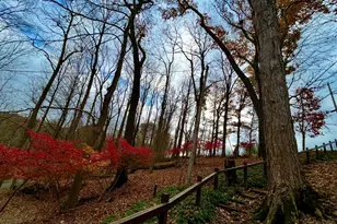 505 Natchez Ln, Sugar Grove, OH 43155 - Photo 40