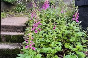 505 Natchez Ln, Sugar Grove, OH 43155 - Photo 42