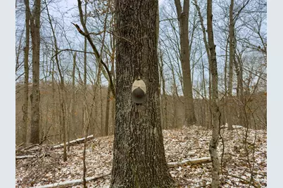 5230 Null Road, Coolville, OH 45723 - Photo 24